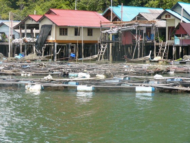 Ko Panyi Fish Pens Closer Up